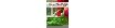 Forever Green Gifts Coupons