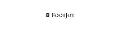 Footjoy Coupons